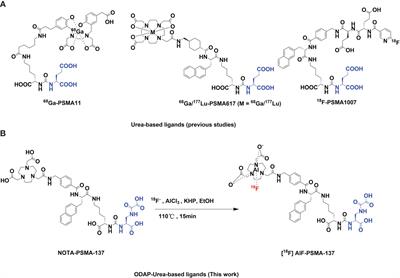 Preclinical evaluation and first in human study of Al18F radiolabeled ODAP-urea-based PSMA targeting ligand for PET imaging of prostate cancer